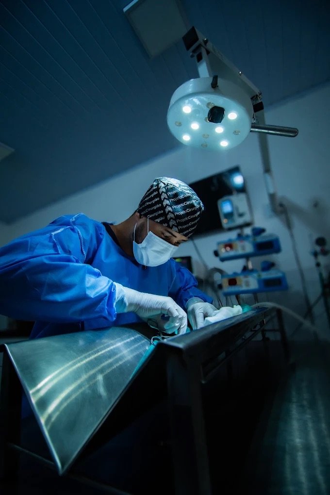 Procedimento cirúrgico veterinário